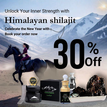 Himalayan Shilajit - Dietary Supplement (Original)